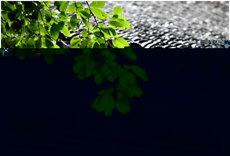 環(huán)境空氣降水中陽離子（Na+、NH4+、K+、Mg2+、Ca2+）的測定離子色譜法