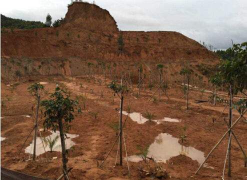 固體廢物 有機氯農(nóng)藥的測定 氣相色譜-質(zhì)譜法