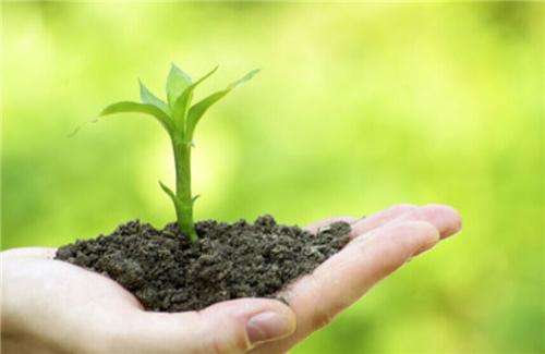 土壤和沉積物 8 種酰胺類農(nóng)藥的測(cè)定 氣相色譜-質(zhì)譜法