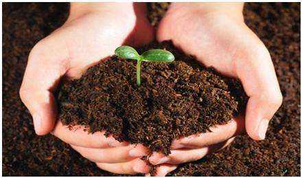 建設用地土壤污染狀況調(diào)查 技術導則